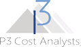 P3 Cost Analysts